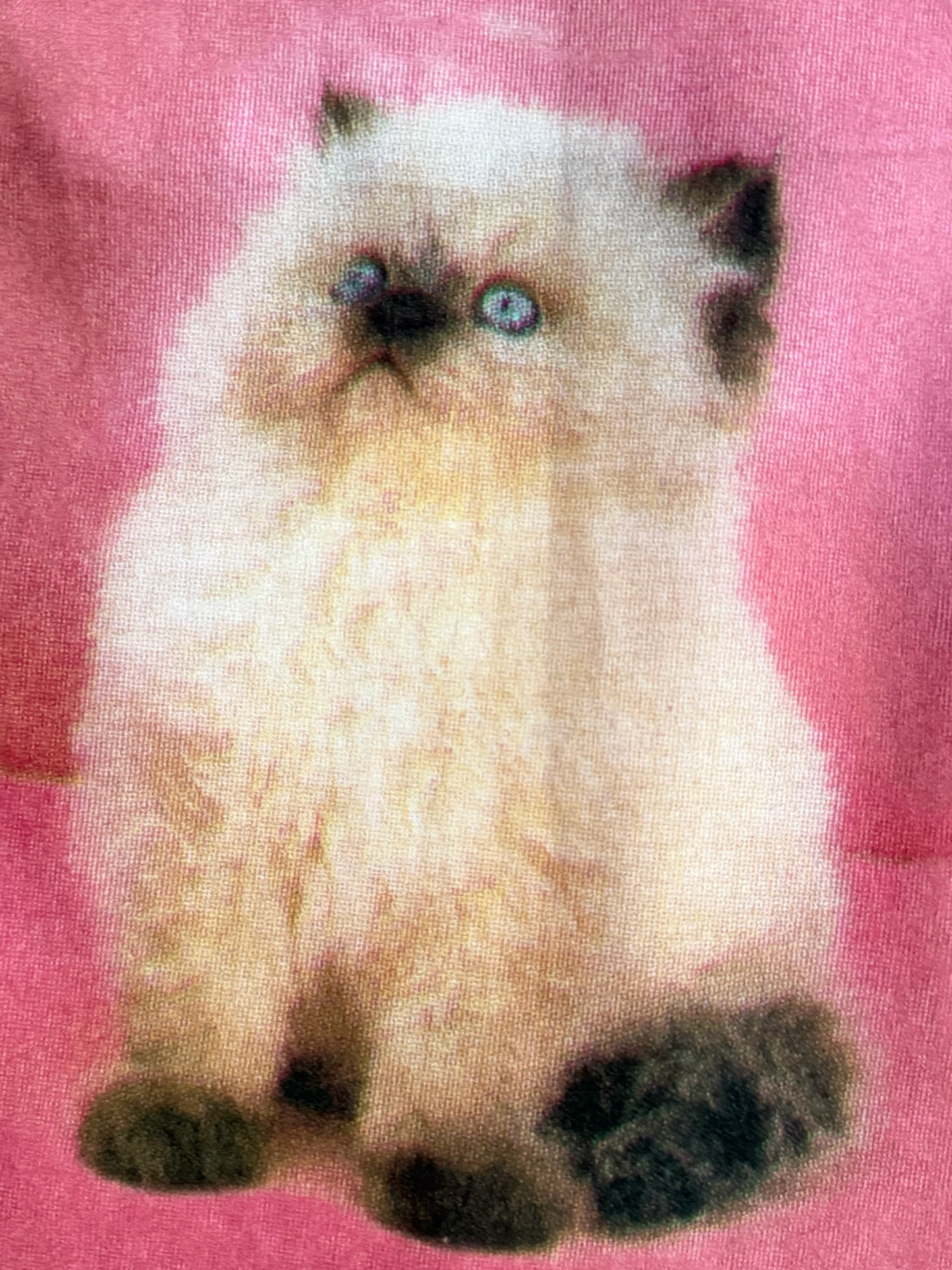 Ashley Williams Pink Cat Miniskirt